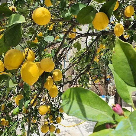 The Sunset View Saranda