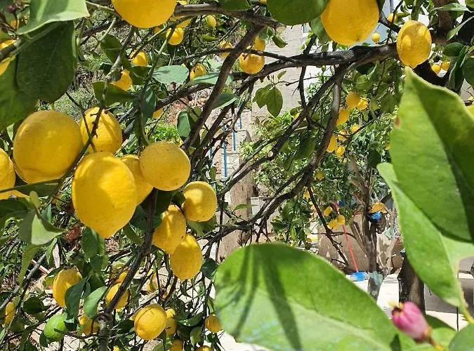 The Sunset View Sarandë